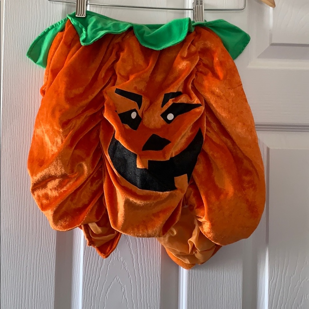 Pumpkin costume for dog